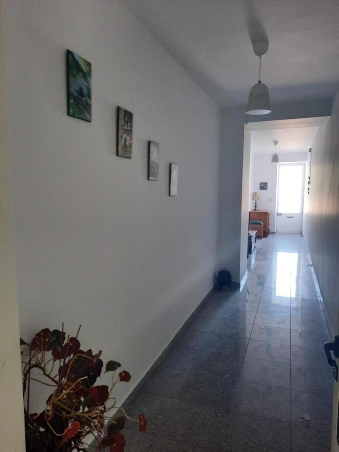 Casa Araci Hotel Vieira do Minho Luaran gambar
